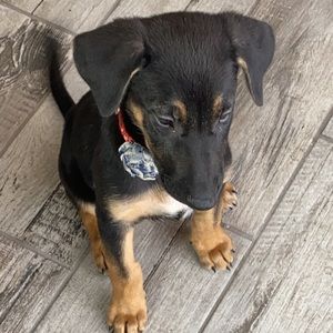 Meet your Posher, Maribel